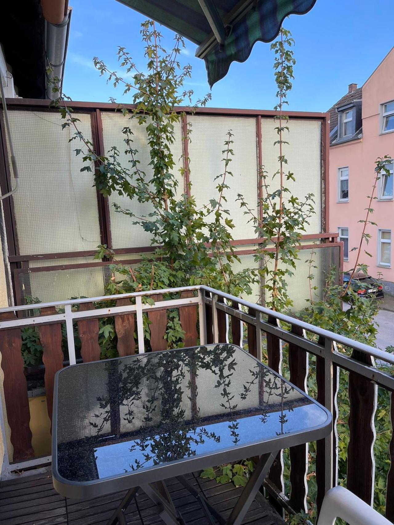 Duesseldorf Messe And Airport, 2-Bedroom Apartment With Kitchen And Garden Duisburg Zewnętrze zdjęcie